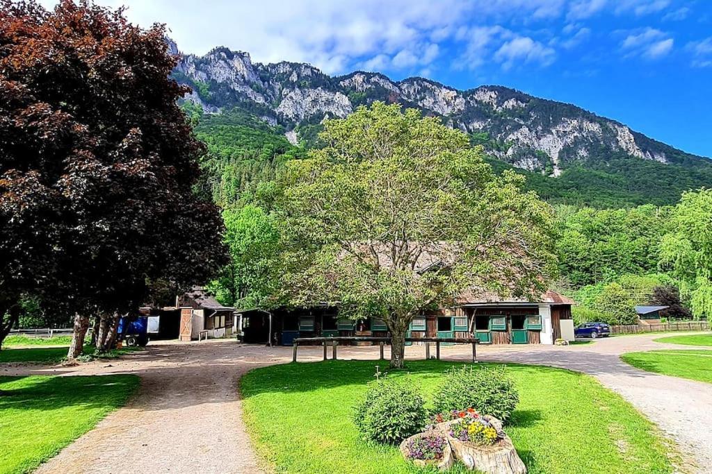 Cosy Family Apartment Reichenau Luaran gambar