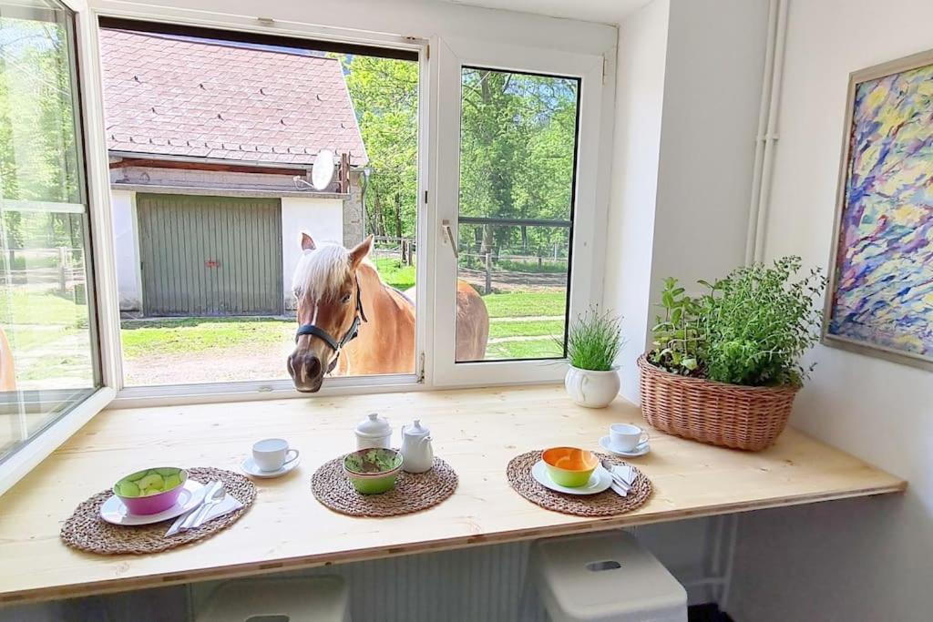 Cosy Family Apartment Reichenau Luaran gambar